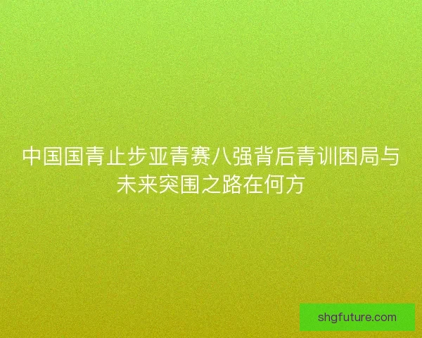 中国国青止步亚青赛八强背后青训困局与未来突围之路在何方 中国国青止步亚青赛八强背后青训困局与未来突围之路在何方